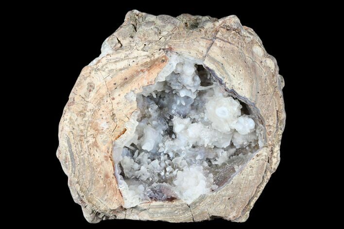 Crystal Filled Dugway Geode (Polished Half) - Utah #176753